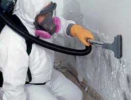 Best Crawl Space Mold Remediation  in Elkton, MD